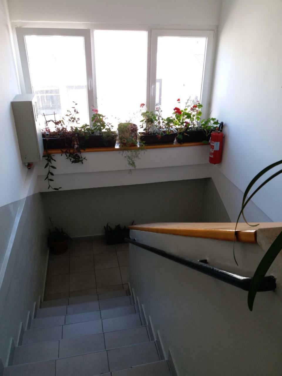 Cozy Apartment Aya In Old Town Сараево Екстериор снимка